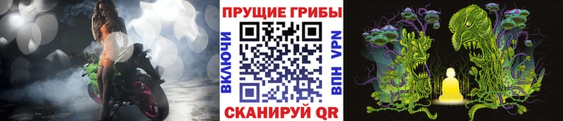 Псилоцибиновые грибы Cubensis  Кирсанов 